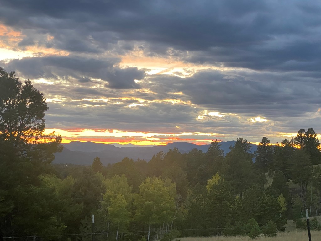 Carpe-Diem-Seize the Day